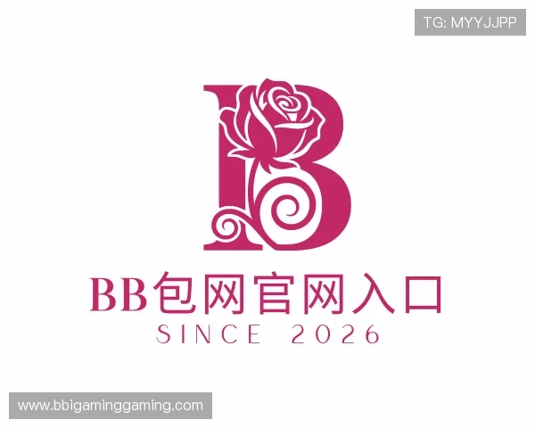 解读BB包网官网入口